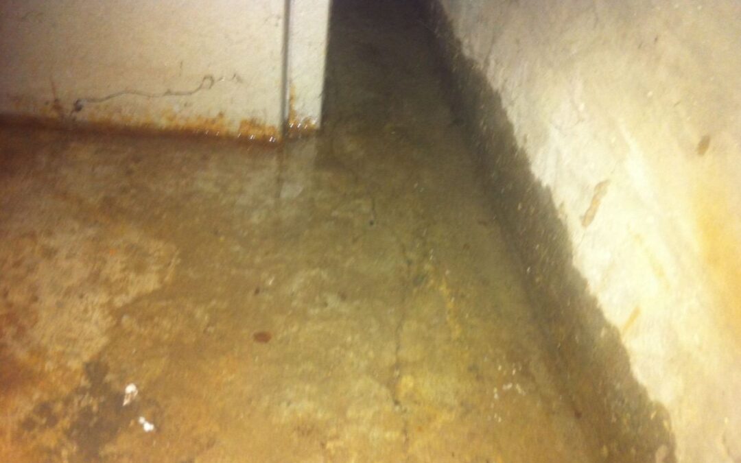 Spring Flooding in Your Basement: The Importance of Drain Tile Systems